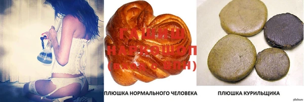 стафф Новодвинск