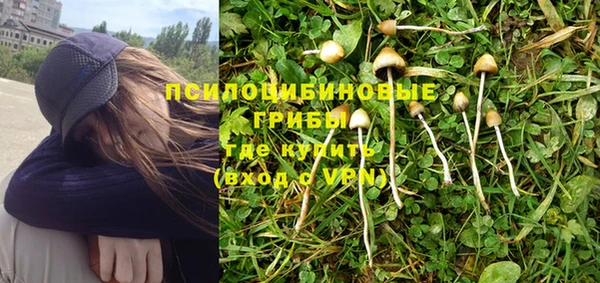 кокс Козловка