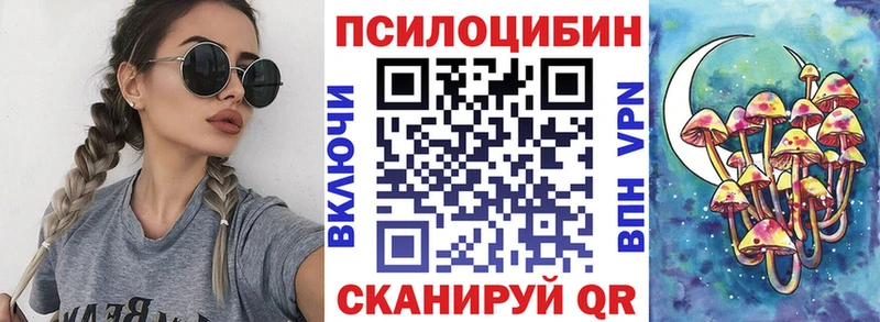 MEGA   как найти закладки  Моздок  Псилоцибиновые грибы GOLDEN TEACHER 