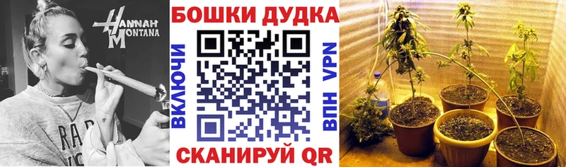 Конопля сатива  наркота  Моздок 